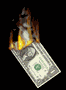 burning
                    dollar
